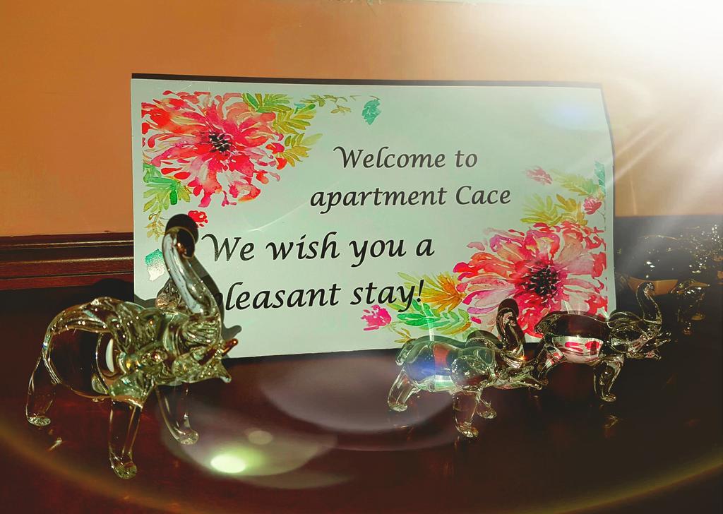 Apartment Cace คูมาโนโว ภายนอก รูปภาพ